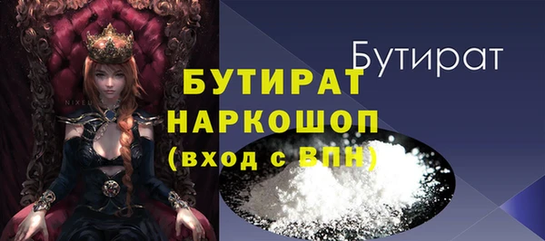 сатива Новодвинск
