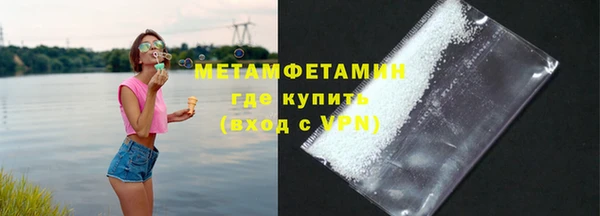 сатива Новодвинск
