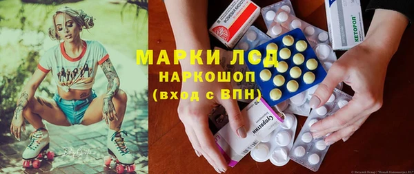 стаф Нея