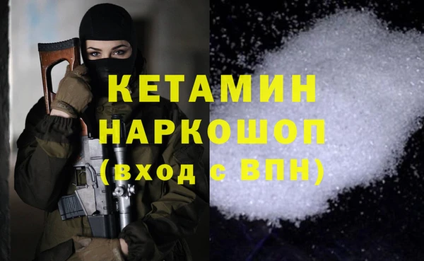 сатива Новодвинск