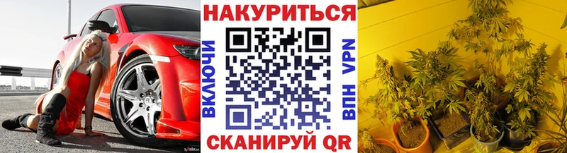 Бошки Шишки OG Kush купить наркотик kraken рабочий сайт Ртищево